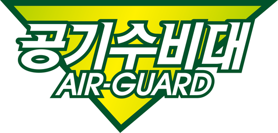 공기수비대 공기수비대